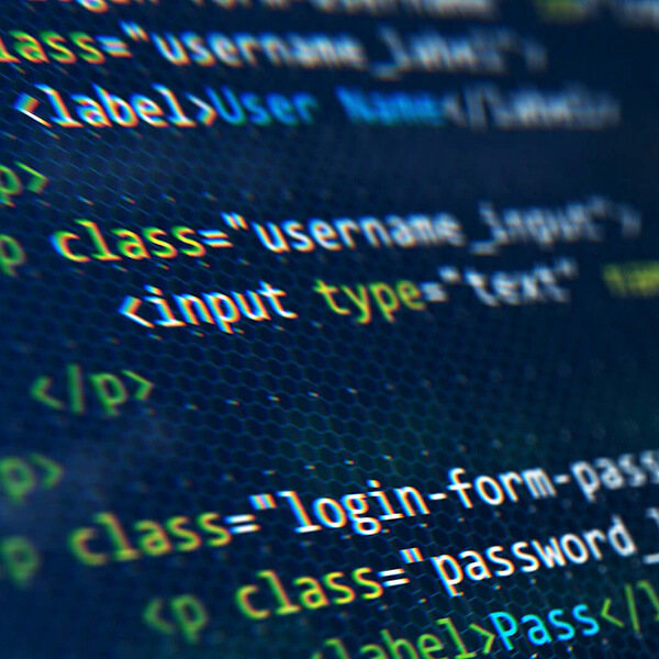 Comprehensive development services